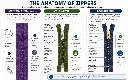 The Anatomy of Zippers.webp