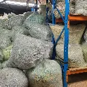 FOZ-CRUMB-5KG_5.Crumbed-Shredded-Foam-Filling-5kg-bag.webp