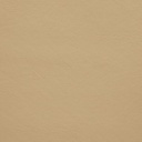 Poseidon Commercial / Marine Vinyl